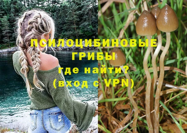 спиды Абдулино