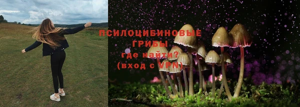каннабис Магас
