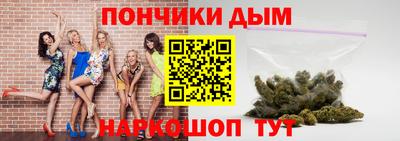 spice Дубна