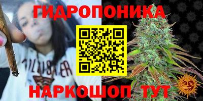spice Дубна